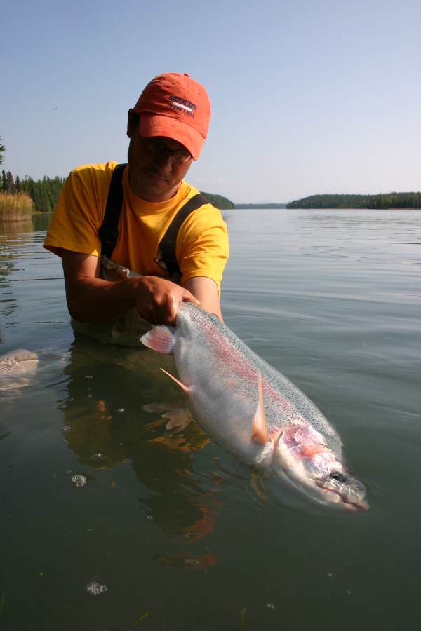 kenai bow resize.jpg kenai bow resize.jpg