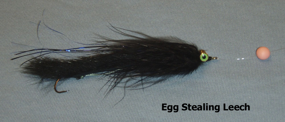 egg stealing leech copy.jpg egg stealing leech copy.jpg