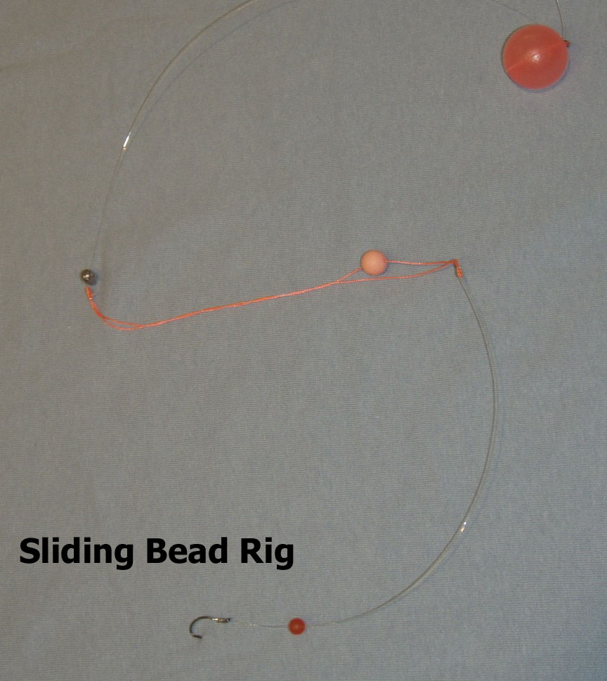 sliding bead rig copy.jpg sliding bead rig copy.jpg