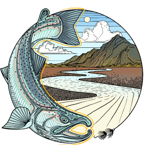 Where to fly fish around Juneau. - Expert Q&A - Alaska Fly Fishing