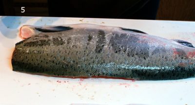 How to Fillet a Salmon - Do It Yourself - Alaska Fly Fishing Goods