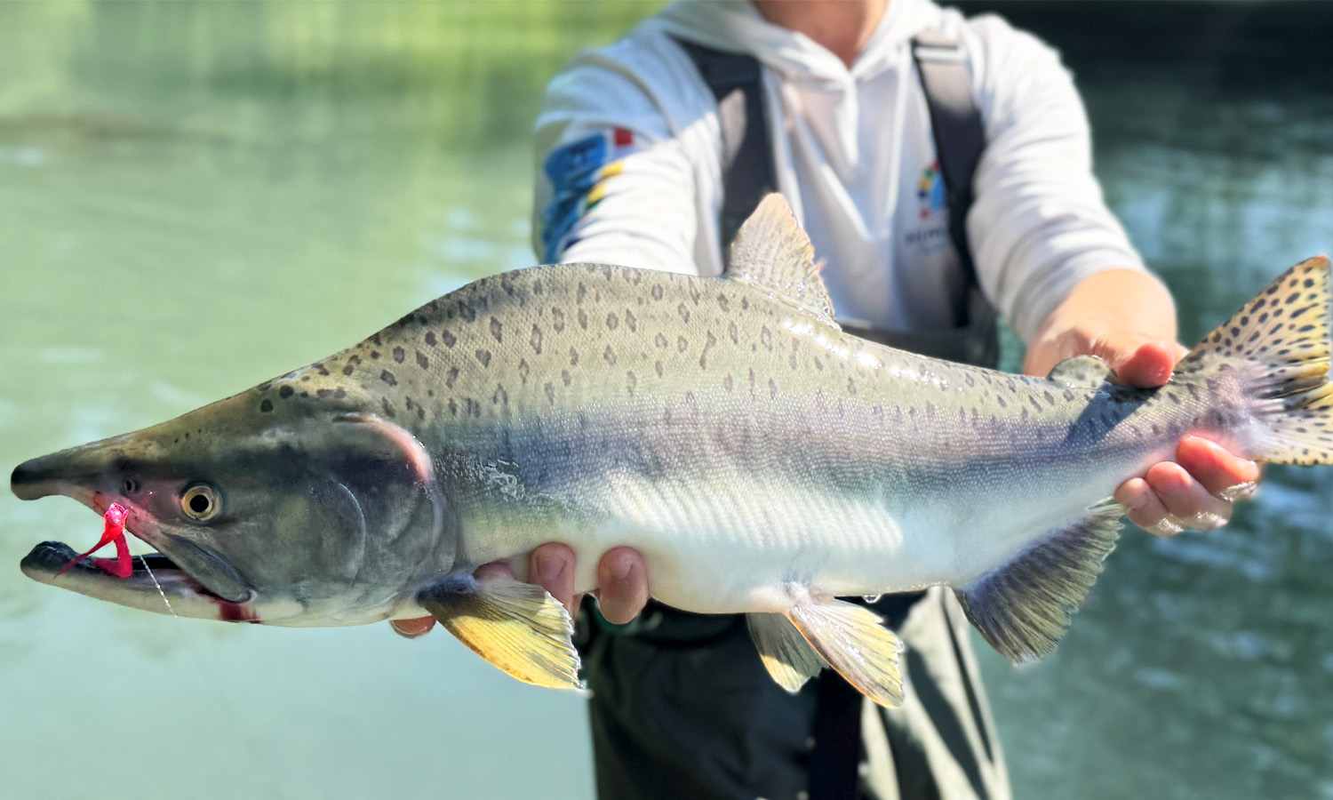 Cowee Creek Humpy