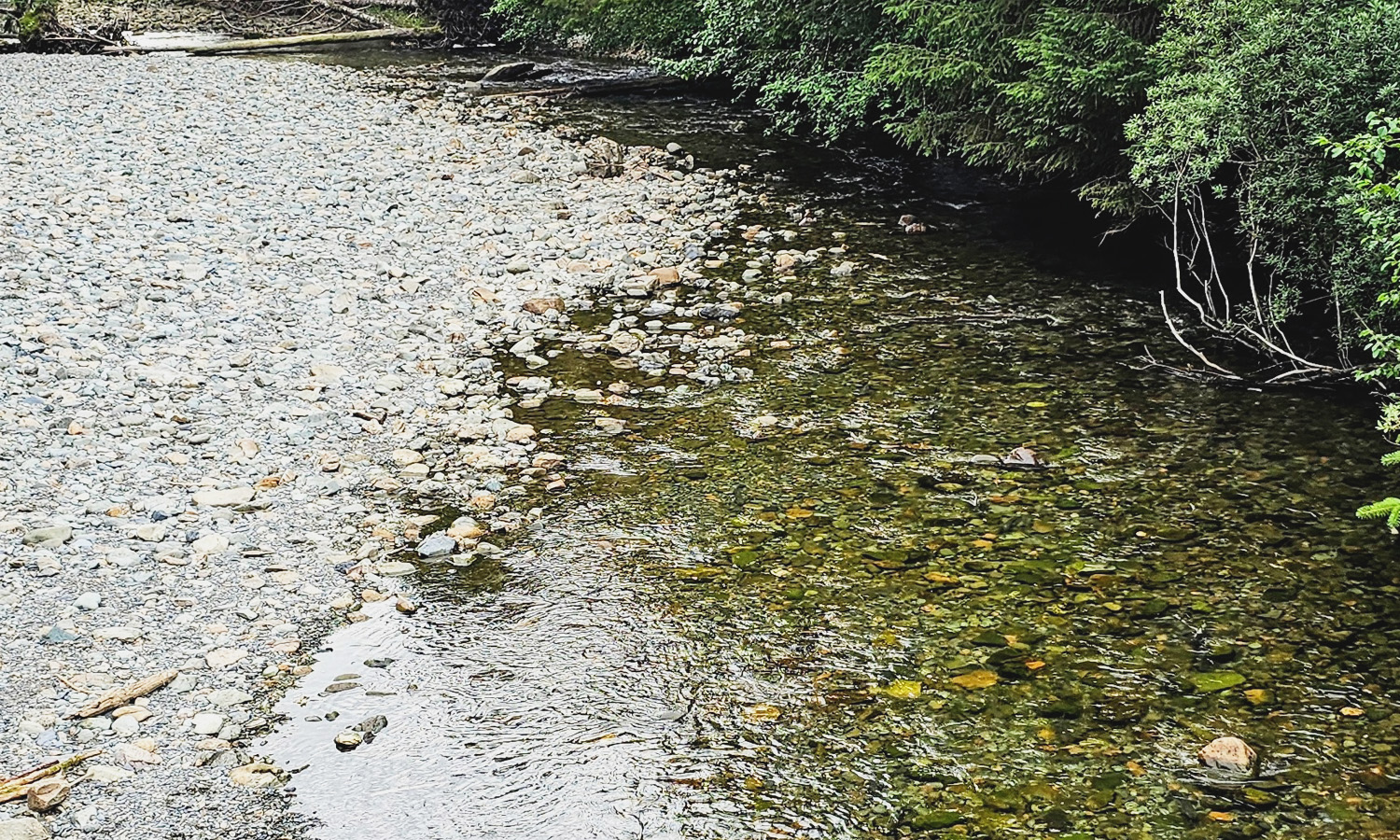 Fish Creek Low Water