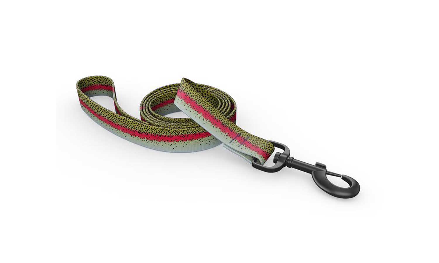Everything You Need To Know About Fishing Leashes
