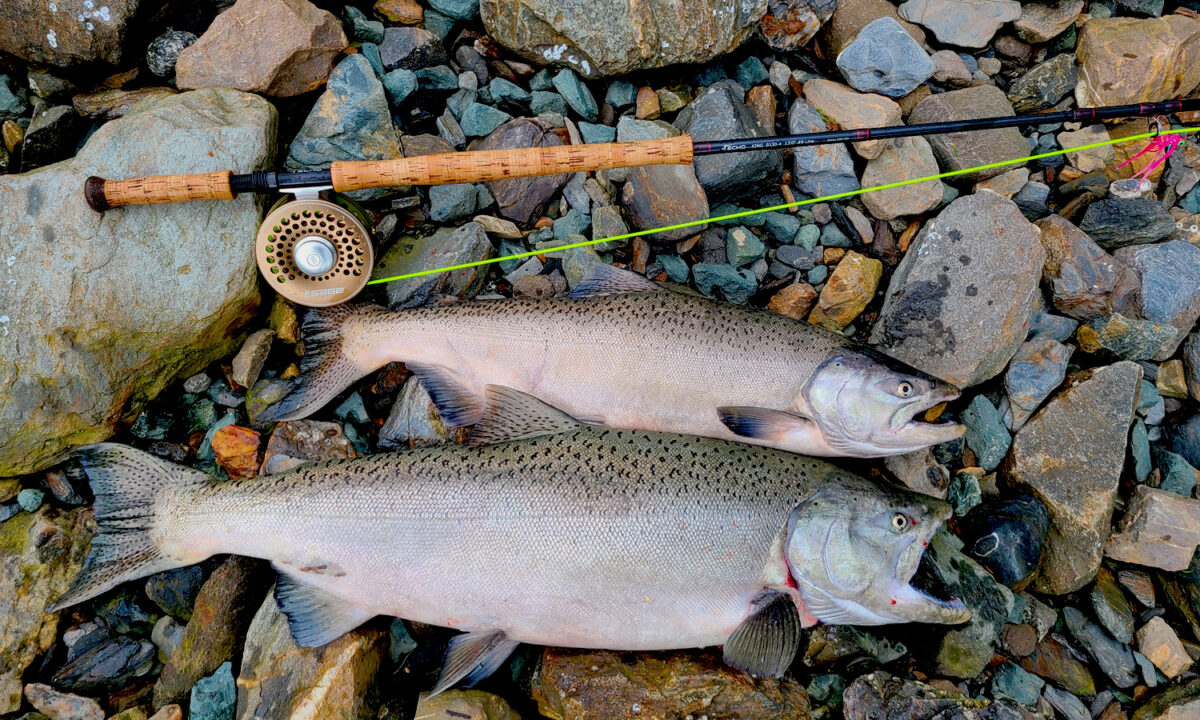 Juneau Fishing Report 7/6/2023 Alaska Fly Fishing Goods