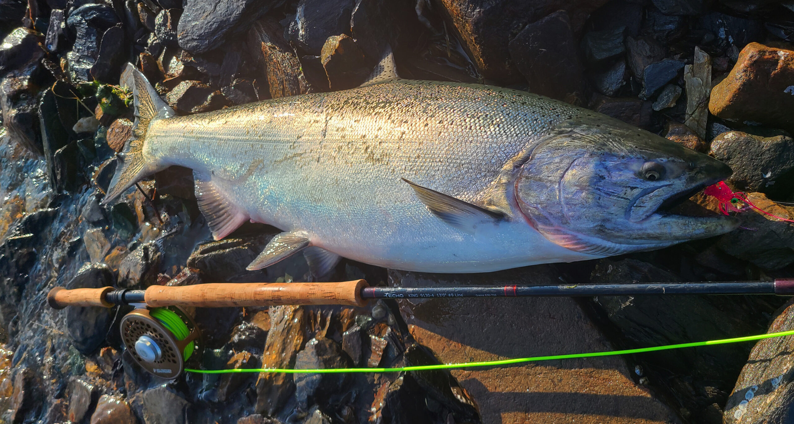 Exceptional wilderness salmon fishing on the Goodnews River, Holidays