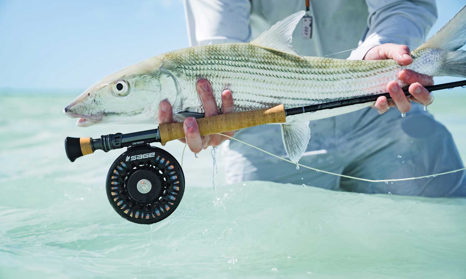 Sage Trout Fly Reel  Insider Review 