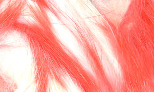 Rabbit Strips - Two-Tone Flesh - Straight Cut - Cotton Candy